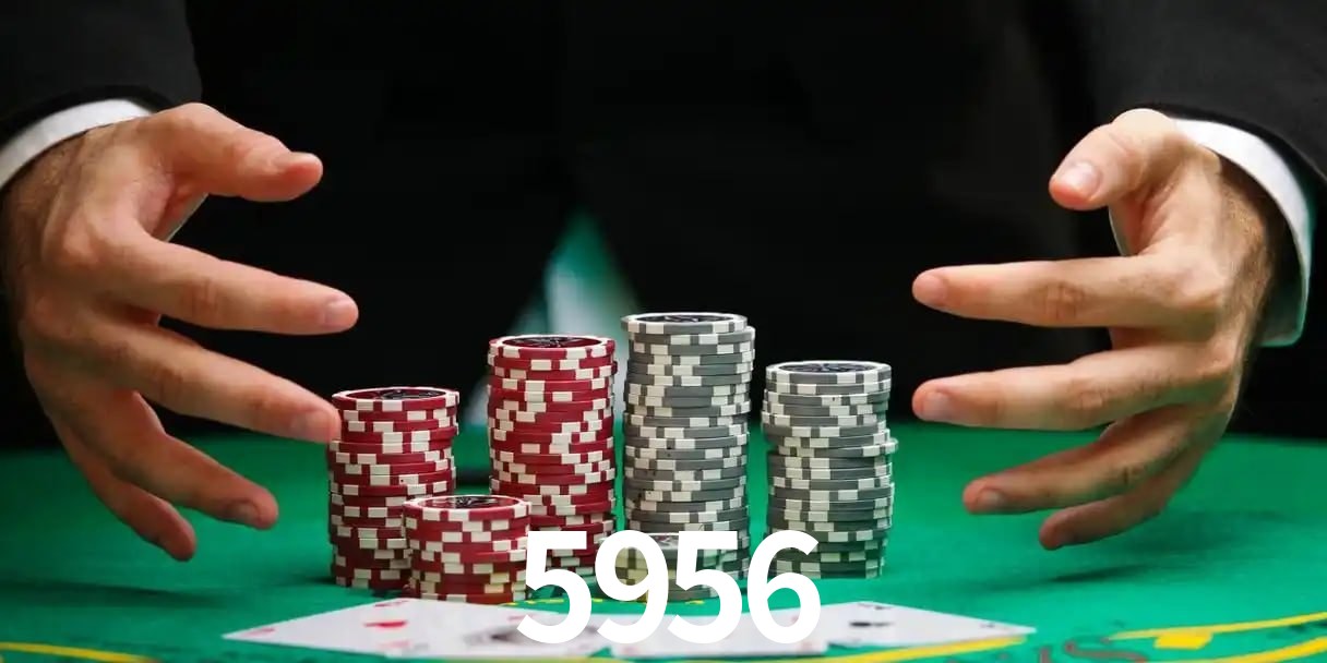 5956 Aplicativo - 5956 visual 2