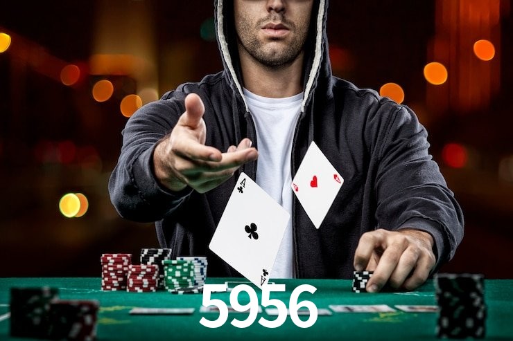 5956,5956.com