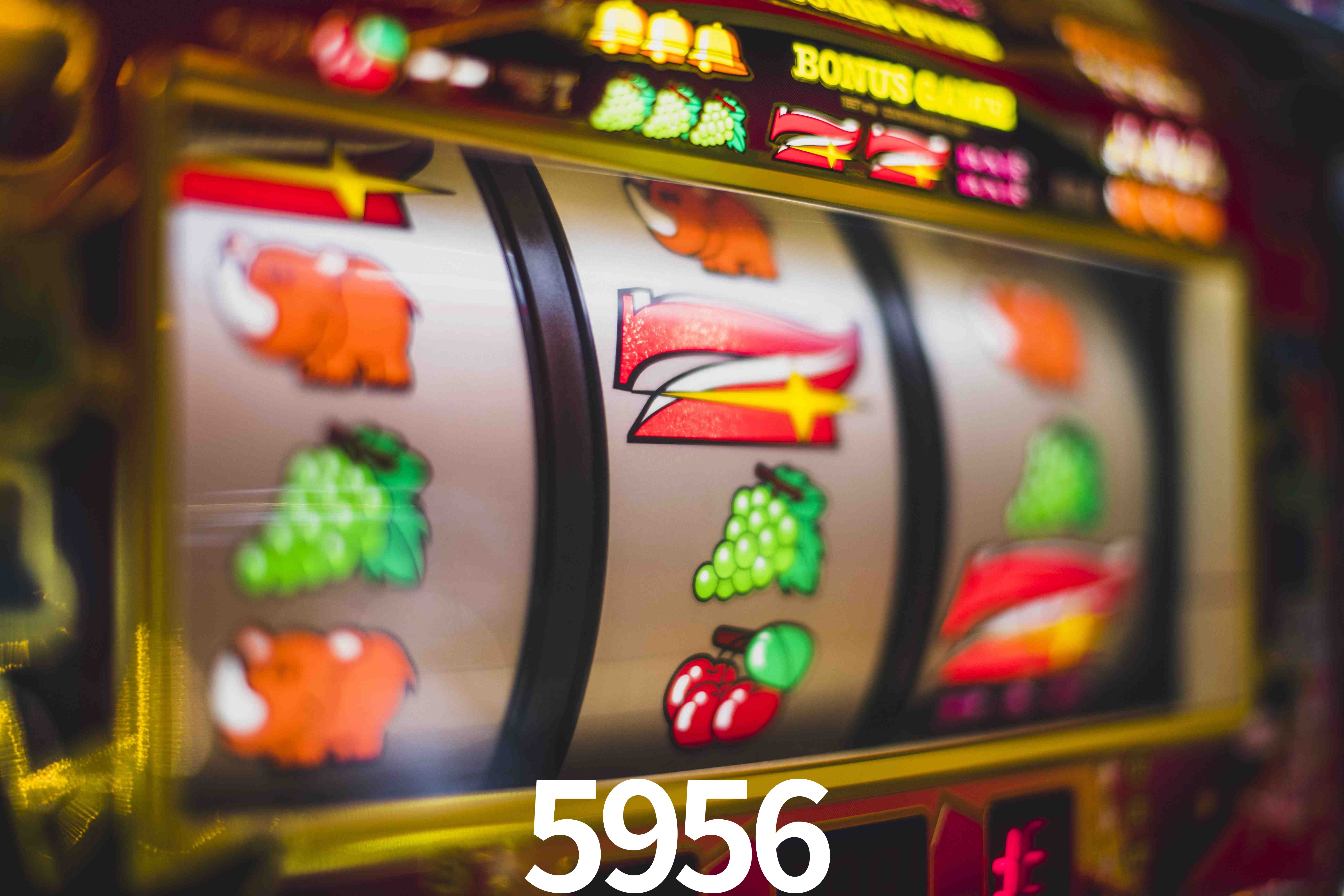 Sports Statistics 5956